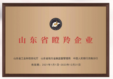 山東省瞪羚企業(yè)